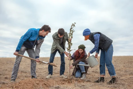 Vier junge Menschen pflanzen gemeinsam einen Baum ein.