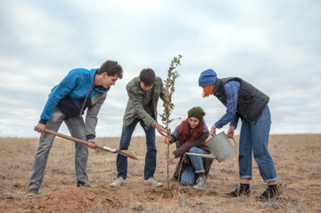 Vier junge Menschen pflanzen einen Baum auf einem sonst trockenen Feld.