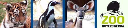 Zoo Hoyerswerda
